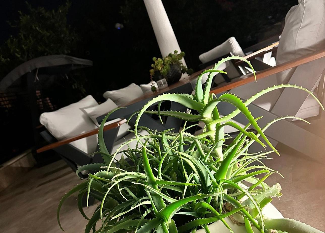 Noa Suite Hotel Only Adult Bodrum 외부 사진